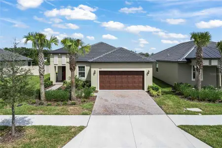 New construction Single-Family house 10852 Ibis Brook Ct, Land O' Lakes, FL 34638 - image