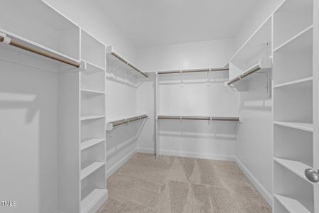 New construction Single-Family house 85 Arbor Dr, Youngsville, NC 27596 - image 17