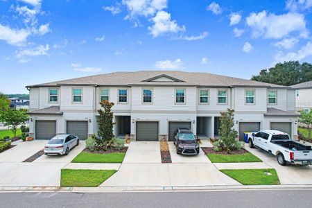 New construction Townhouse house 10398 Trumpet Honeysuckle Wy, San Antonio, FL 33576 - image