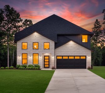 New construction Single-Family house 140 Cordova Xing, Seguin, TX 78155 plan Astoria - image