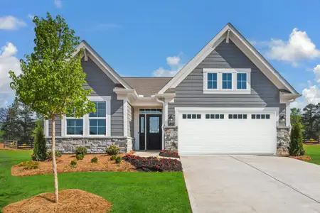 New construction Single-Family house 104 Laurel Farms Ln, Dallas, GA 30157 plan Amelia - image