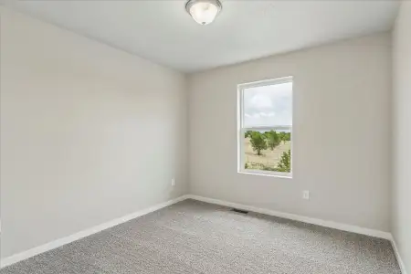 New construction Single-Family house 9695 Blaurock Dr, Fountain, CO 80817 plan Olive - image 13