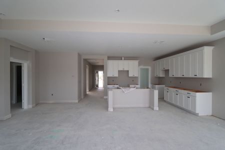 New construction Single-Family house 31205 Denham Ridge Ln, Wesley Chapel, FL 33545 Santa Monica- photo 69 69