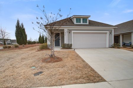 New construction Single-Family house 331 Dahlia Row Dr, Summerville, SC 29486 - image