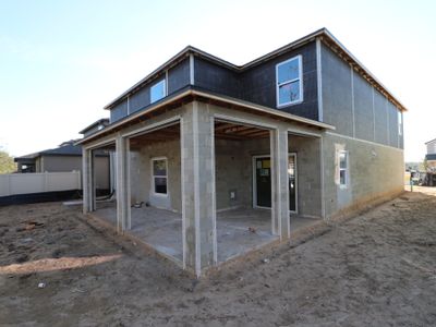 New construction Single-Family house 12134 Hilltop Farms Dr, Dade City, FL 33525 Malibu- photo 75 75