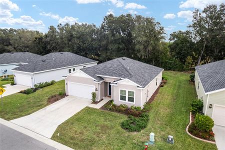 New construction Single-Family house 7755 Sw 74Th Loop, Ocala, FL 34481 plan Elan - image
