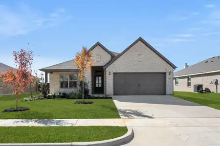 New construction Single-Family house 733 Scarlet Sage Dr, Waxahachie, TX 75165 plan Cheyenne - image