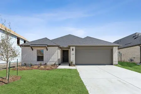 New construction Single-Family house 242 Twin View Vista Dr, Lavon, TX 75166 plan Harrison - image