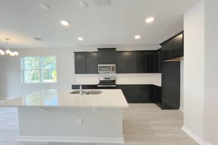 New construction Townhouse house 15212 Tribute At, Winter Garden, FL 34787 null- photo 14 14