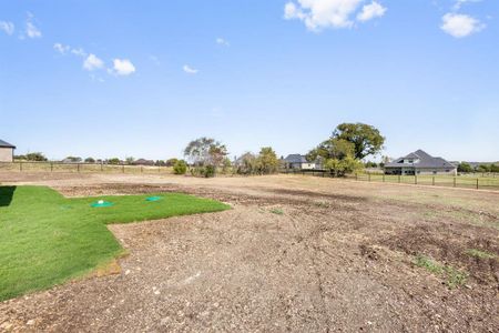 New construction Single-Family house 441 Solo Ridge Drive, Waxahachie, TX 75167 - photo 36 36