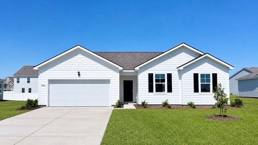 New construction Single-Family house 8024 Panda Bear Wy, Conway, SC 29526 plan Alston - image