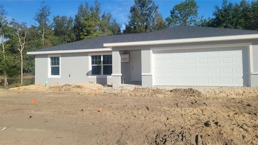 New construction Single-Family house 19919 Sw Eagle Drive, Dunnellon, FL 34431 - photo 0