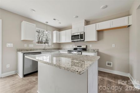 New construction Single-Family house 171 Yellow Branch Rd, Pageland, SC 29728 - image 9