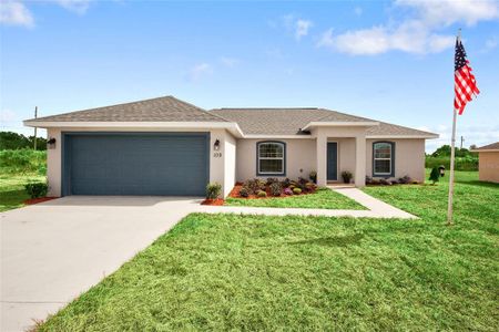 New construction Single-Family house 28 Juniper Pass Drive, Ocala, FL 34480 - photo 0