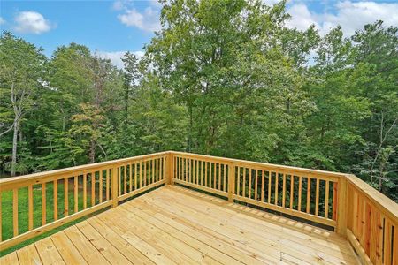 New construction Single-Family house 6305 Carlys Way, Gainesville, GA 30506 Hartwell- photo 23 23