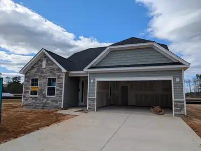 New construction Single-Family house 119 Palfrey Dr, Ridgeville, SC 29472 Avery- photo 0