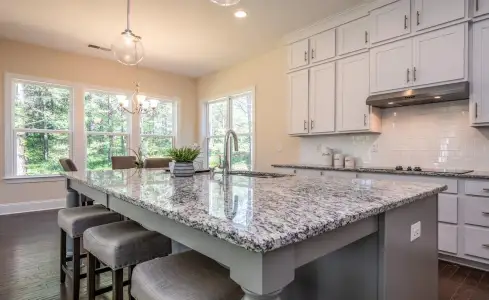 New construction Single-Family house 1264 Sage Pine Cir, Clover, SC 29710 plan Augusta - image 16