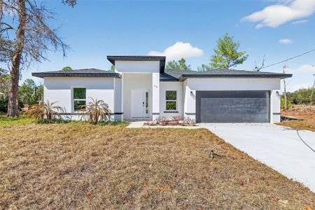 New construction Single-Family house 16 Malauka Lane Dr, Ocklawaha, FL 32179 - image