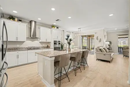 New construction Single-Family house 4902 Eagle Rock Dr, Wimauma, FL 33598 plan Mira Lago - image 7