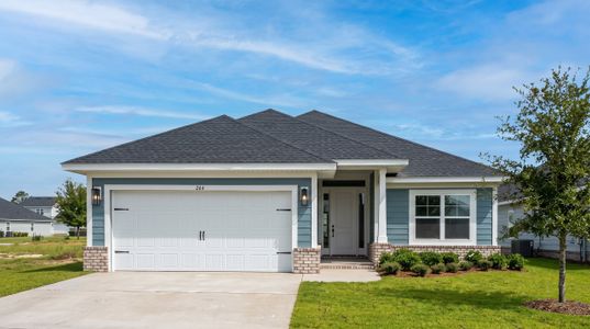 New construction Single-Family house 264 Alleyoak Ln, Freeport, FL 32439 plan 1820 - image