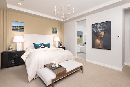 Verdin Odyssey Collection 9