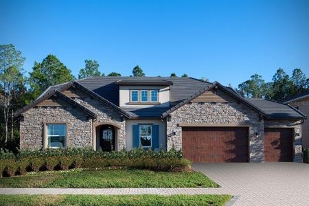 New construction Single-Family house 17810 Daisy Farm Drive, Lutz, FL 33559 - photo 0