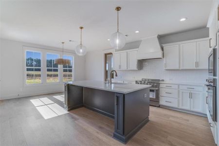 New construction Single-Family house 180 Paislee Park, Fayetteville, GA 30215 null- photo 10 10