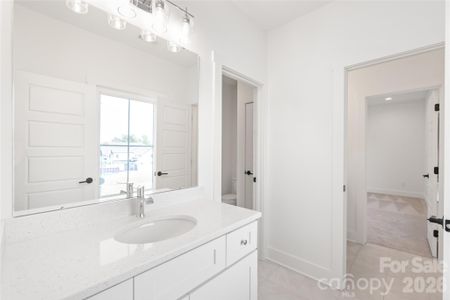 New construction Single-Family house 19048 Newburg Hill Rd, Davidson, NC 28036 - image 19