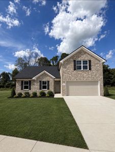 New construction Single-Family house 1284 Amber Hills Dr, Ashland City, TN 37015 - image