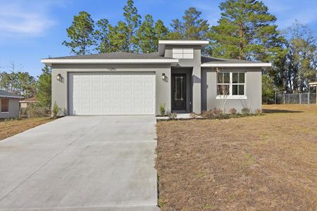 New construction Single-Family house 6078 Sw 150Th Ln, Ocala, FL 34473 - image