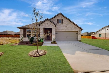 New construction Single-Family house 1617 Etosha Dr, Royse City, TX 75189 plan Esparanza - image