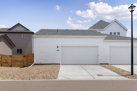 New construction Duplex house 5075 Mckinnon Ct, Timnath, CO 80547 plan Garden Series - Caraway - image