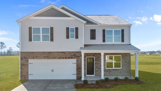 New construction Single-Family house 1849 Branson Ct, Farmville, NC 27834 plan Hayden - image
