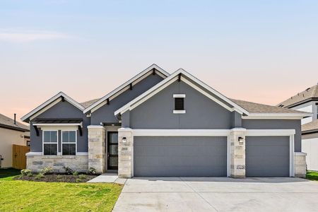 New construction Single-Family house 19136 Ariel Elena Wy, Pflugerville, TX 78660 Palmer- photo 0 0