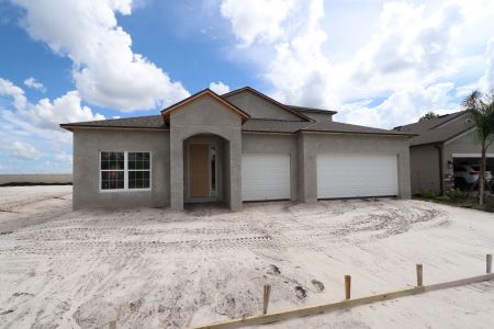 New construction Single-Family house 4774 Beachrose Way, Lakeland, FL 33811 Barcello Bonus- photo 6 6