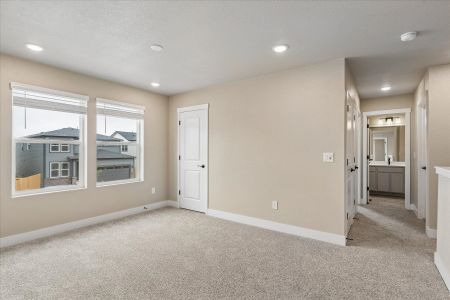 New construction Single-Family house 7716 Clear Amber, Colorado Springs, CO 80908 plan Boxelder - image 18
