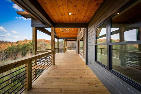 New construction Single-Family house 100 Walnut Trce, Mineral Bluff, GA 30559 - image