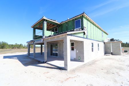 New construction Single-Family house 1787 Drummond Pt, Zephyrhills, FL 33541 Sonoma II- photo 87 87