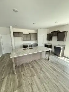 New construction Single-Family house 513 Windflower Pass, Antioch, TN 37013 - image 3