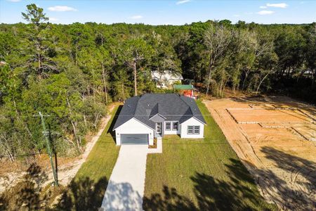 New construction Single-Family house 9505 N N Cortlandt Dr, Citrus Springs, FL 34434 - image