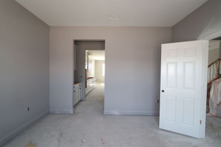 New construction Single-Family house 5525 Maydale Ave, Wesley Chapel, FL 33545 Coronado II- photo 54 54