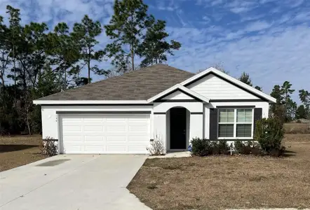 New construction Single-Family house 134 Hickory Course Trl, Ocala, FL 34472 plan Aria - image