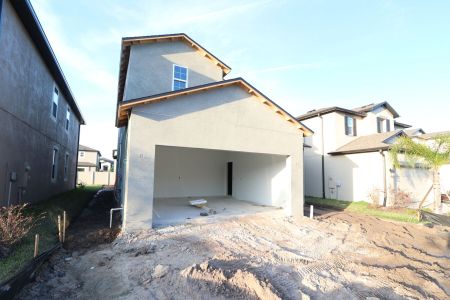 New construction Single-Family house 2601 Sunny Pebble Loop, Zephyrhills, FL 33540 Miralles- photo 45 45