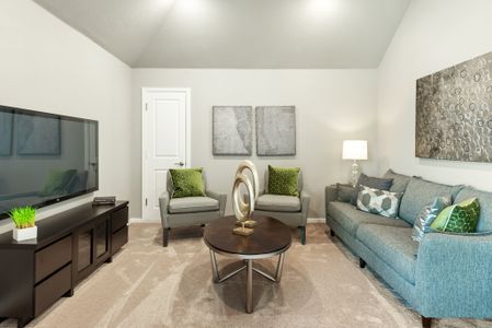 Painted Tree Woodland District 50 by Bloomfield Homes in McKinney - photo 30 30