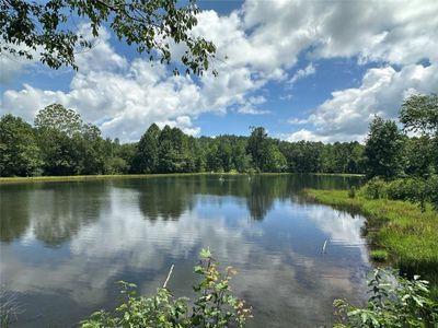 New construction Single-Family house 80 Cove View Ln, Clarkesville, GA 30523 - image 13