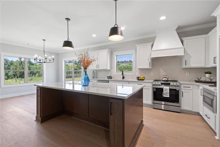 New construction Single-Family house 1570 Legend Dr, Greensboro, GA 30642 - image 12