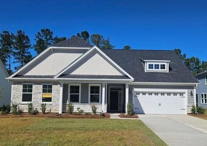 New construction Single-Family house 165 Huguenot Trl, Huger, SC 29450 plan Alexandria - image