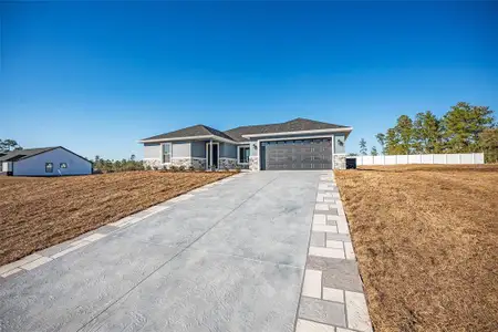 New construction Single-Family house 161 Bay Rd, Ocklawaha, FL 32179 - image