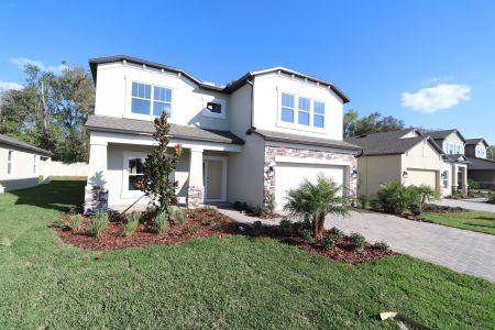 New construction Single-Family house 12008 Hilltop Farms Dr, Dade City, FL 33525 Alenza- photo 117 117