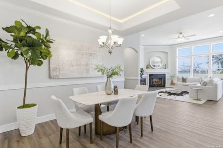 New construction Single-Family house 21127 Prairie Rose, San Antonio, TX 78264 plan Beaumont - image 14